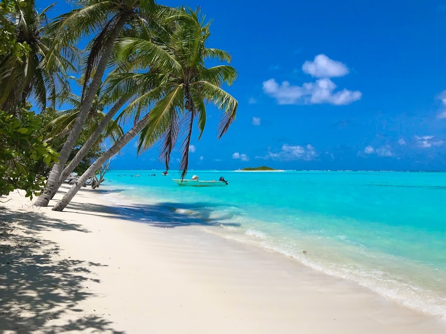 Aventuras en playa con palmeras